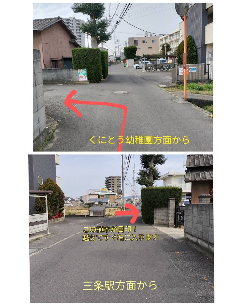 フェイシャルスチーマー