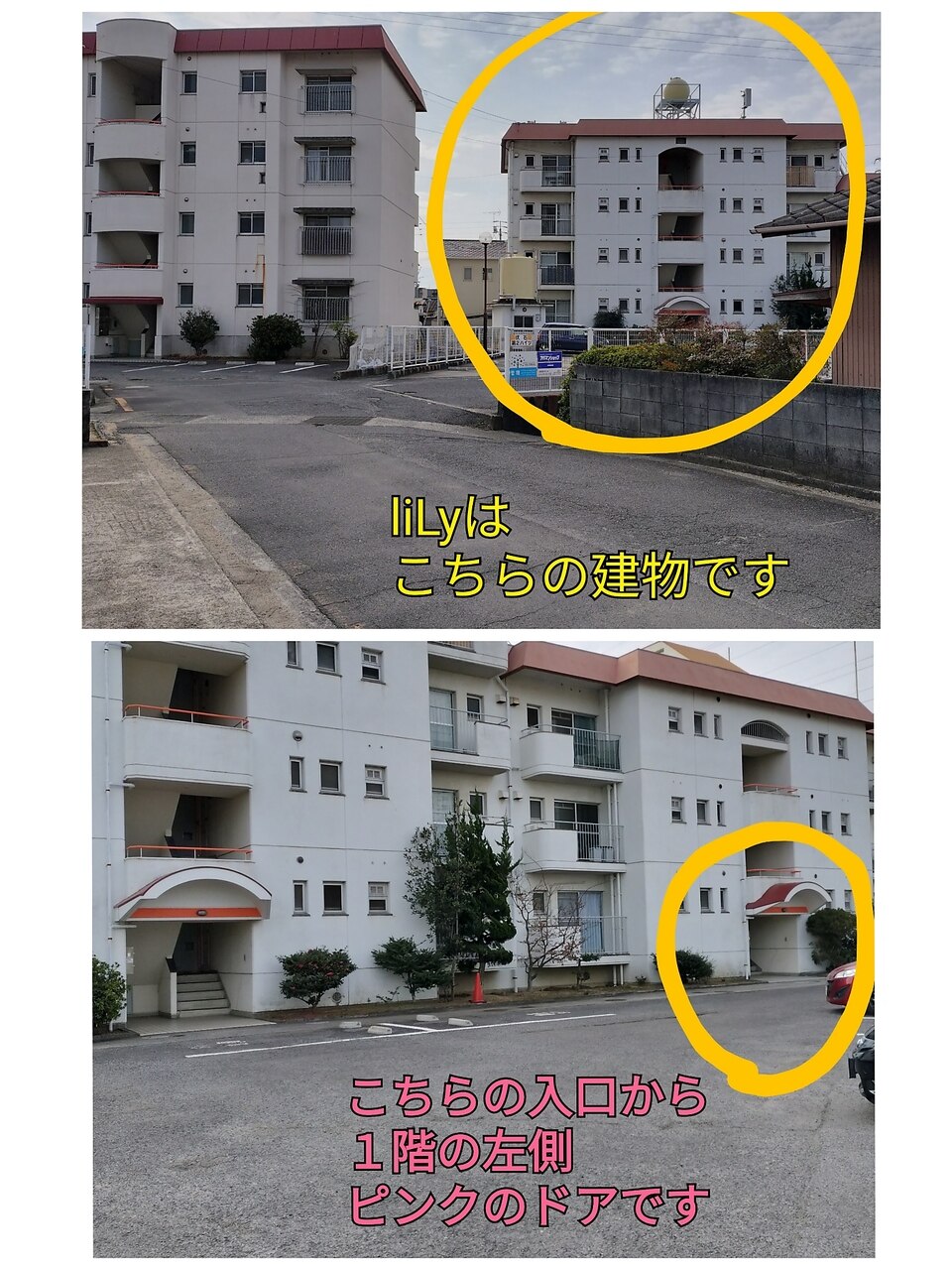 高濃度炭酸泡洗顔